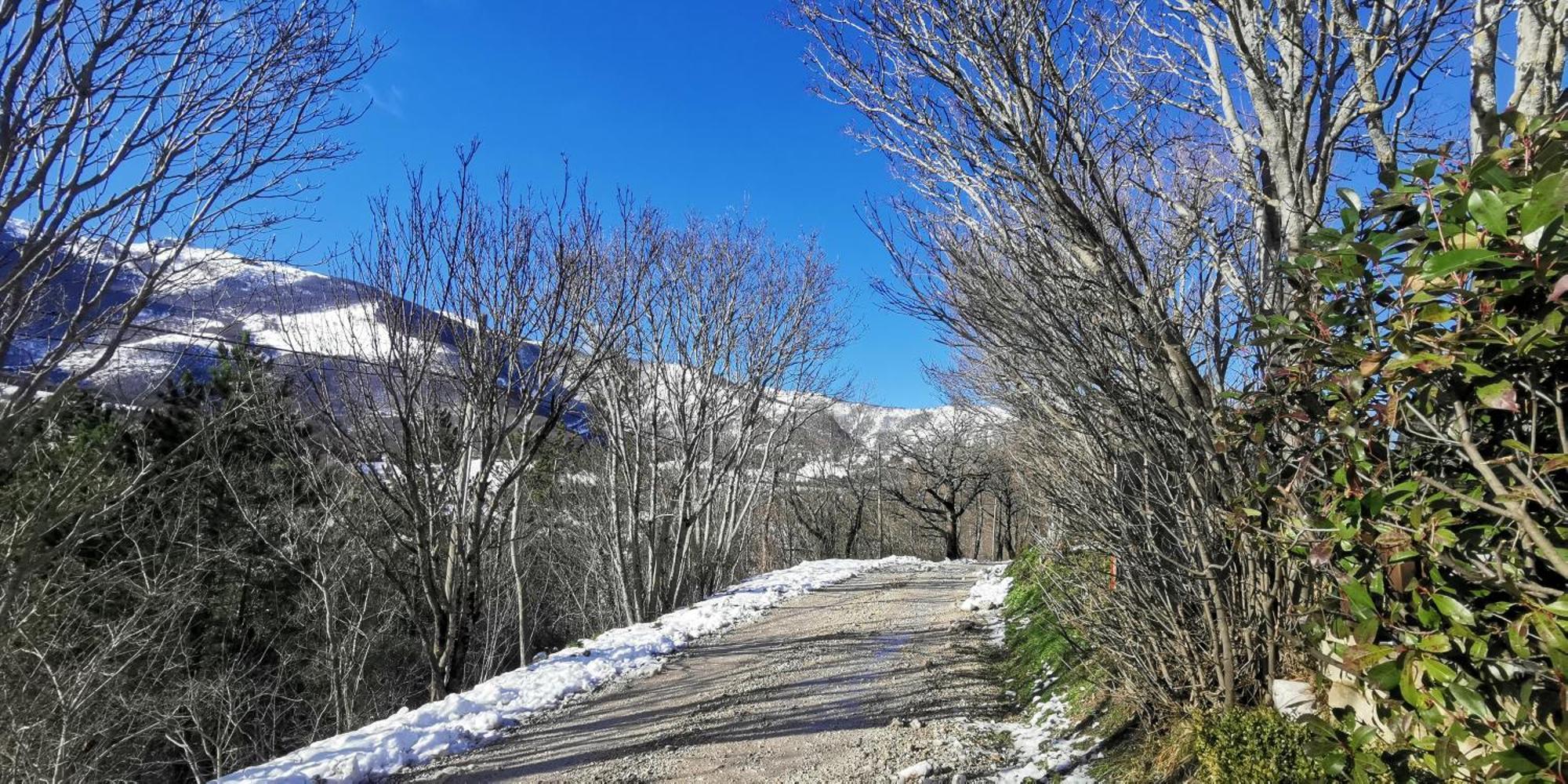 La Casetta Di Gino E Marcella Sassoferrato Exterior foto